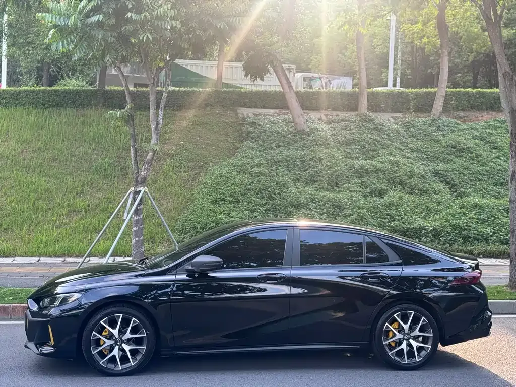 GAC Motor Shadow Leopard 2023 из CN, фото 8