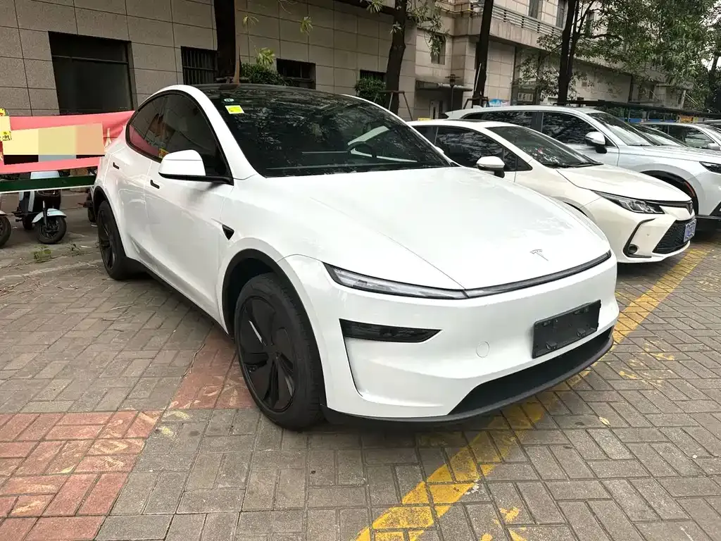 Tesla Model Y — фото 3