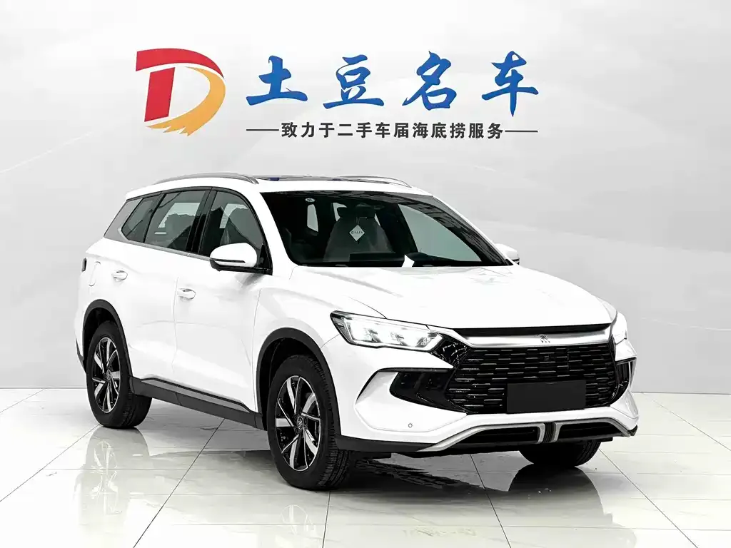 BYD Pro New Energy — фото 3