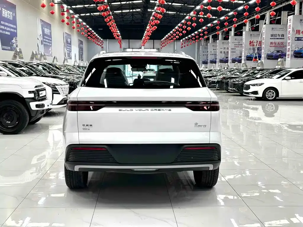 BYD Pro New Energy — фото 10
