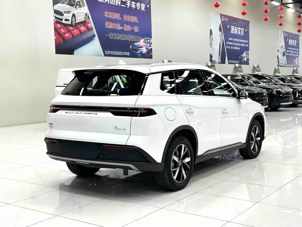 BYD Pro New Energy — фото 8