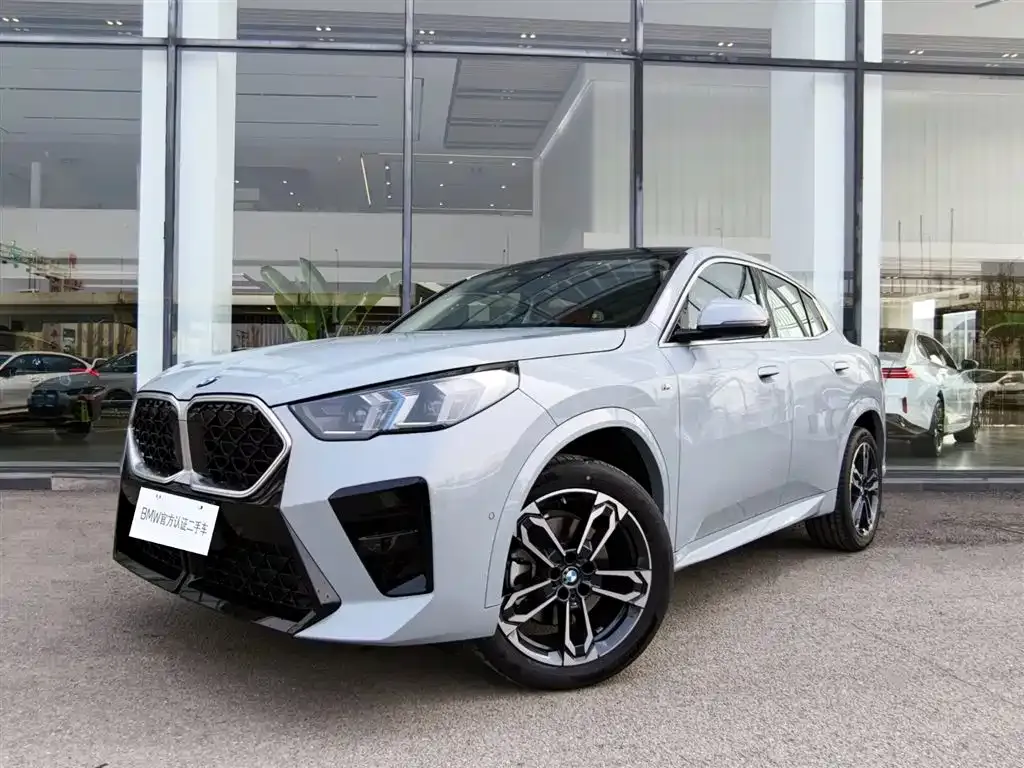 BMW X2 (Import) — фото 1