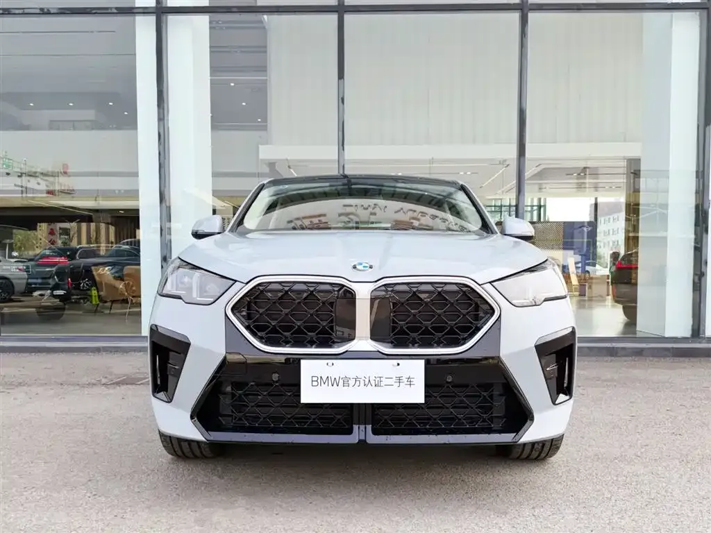 BMW X2 (Import) — фото 3