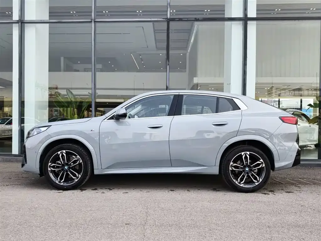 BMW X2 (Import) — фото 8
