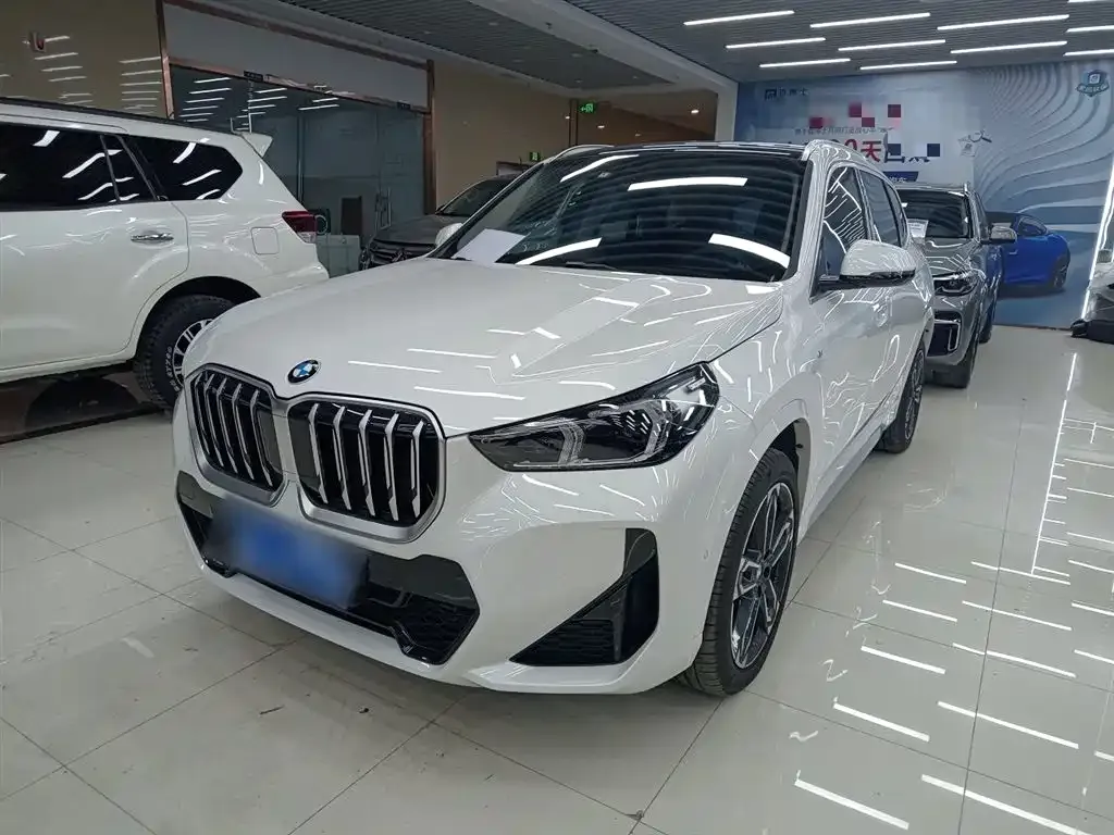 BMW X1 — фото 1