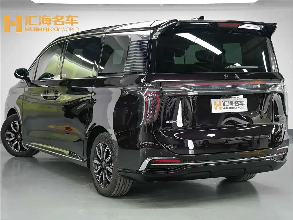 Hongqi HQ9 2023 из CN, фото 4