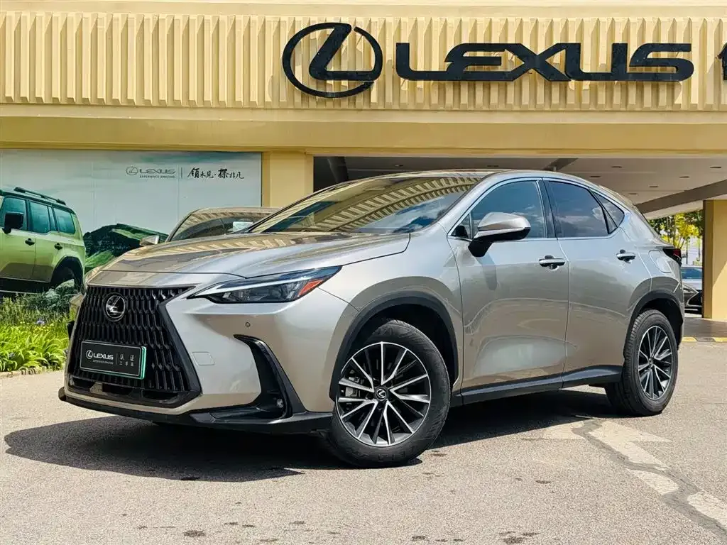 Lexus NX New Energy