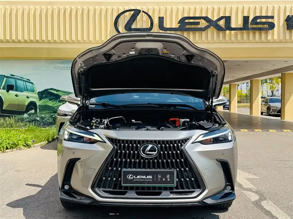 Lexus NX New Energy 2021 из CN, фото 6