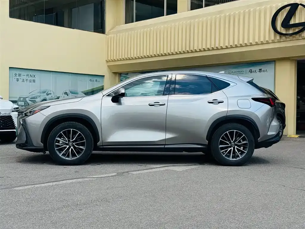 Lexus NX New Energy 2021 из CN, фото 8