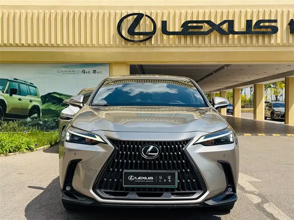 Lexus NX New Energy 2021 из CN, фото 9