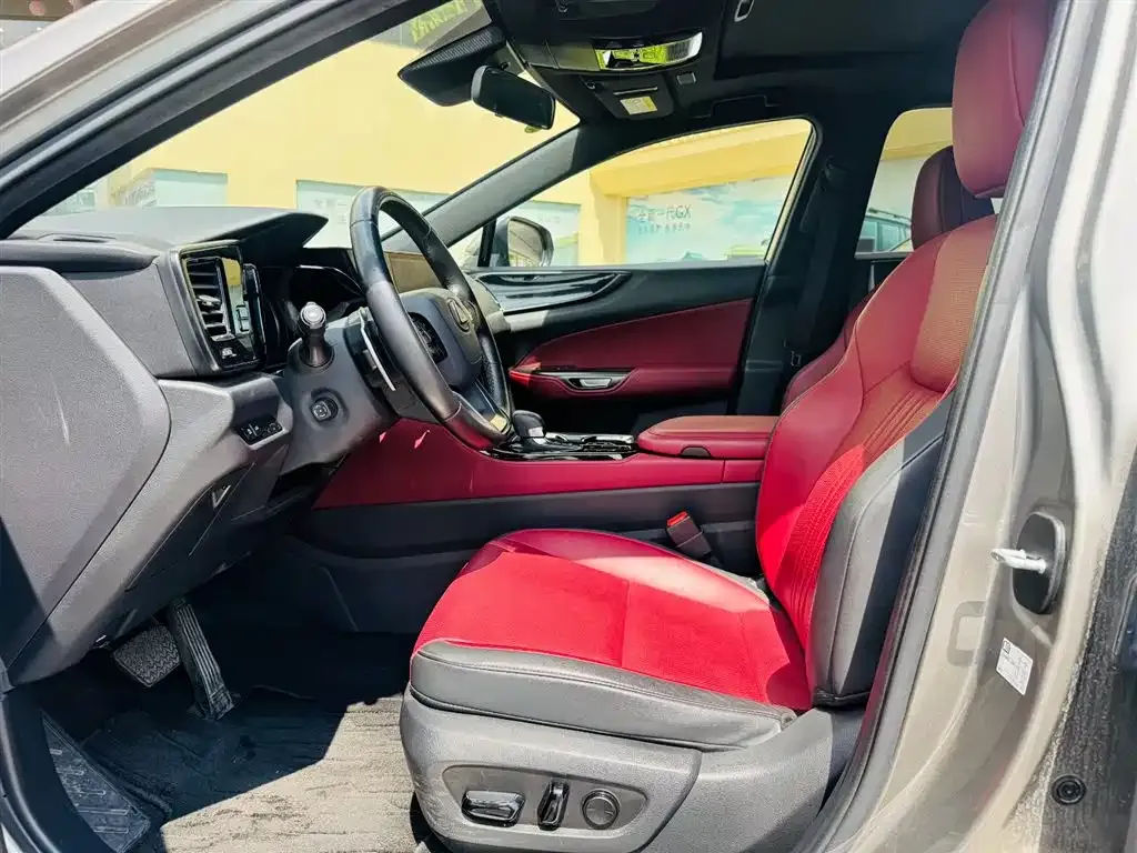 Lexus NX New Energy 2021 из CN, фото 5
