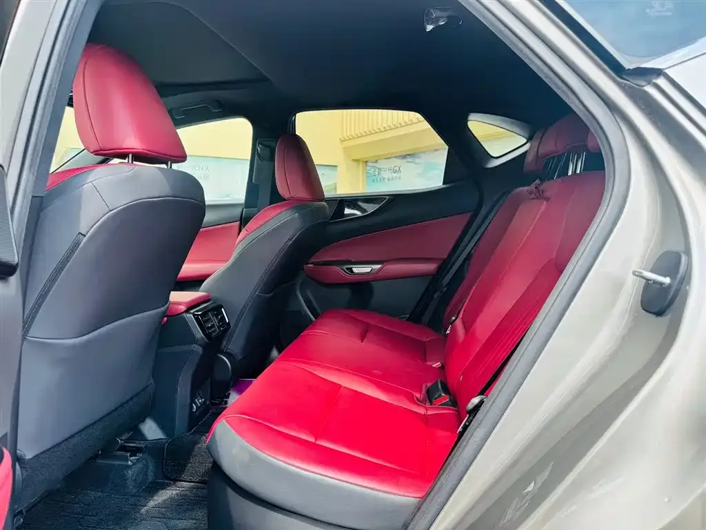 Lexus NX New Energy 2021 из CN, фото 3