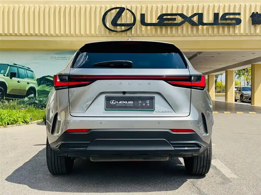 Lexus NX New Energy 2021 из CN, фото 4