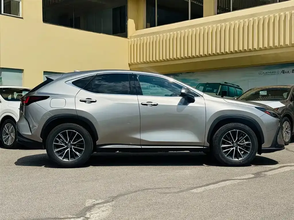 Lexus NX New Energy 2021 из CN, фото 7