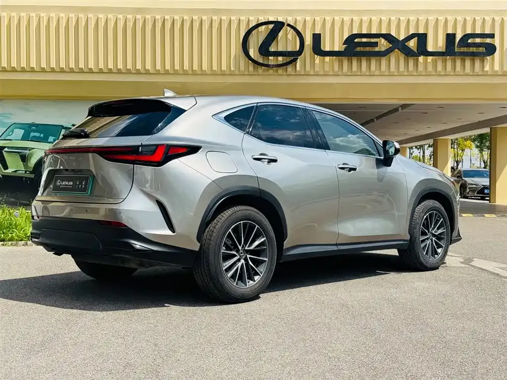 Lexus NX New Energy 2021 из CN, фото 10