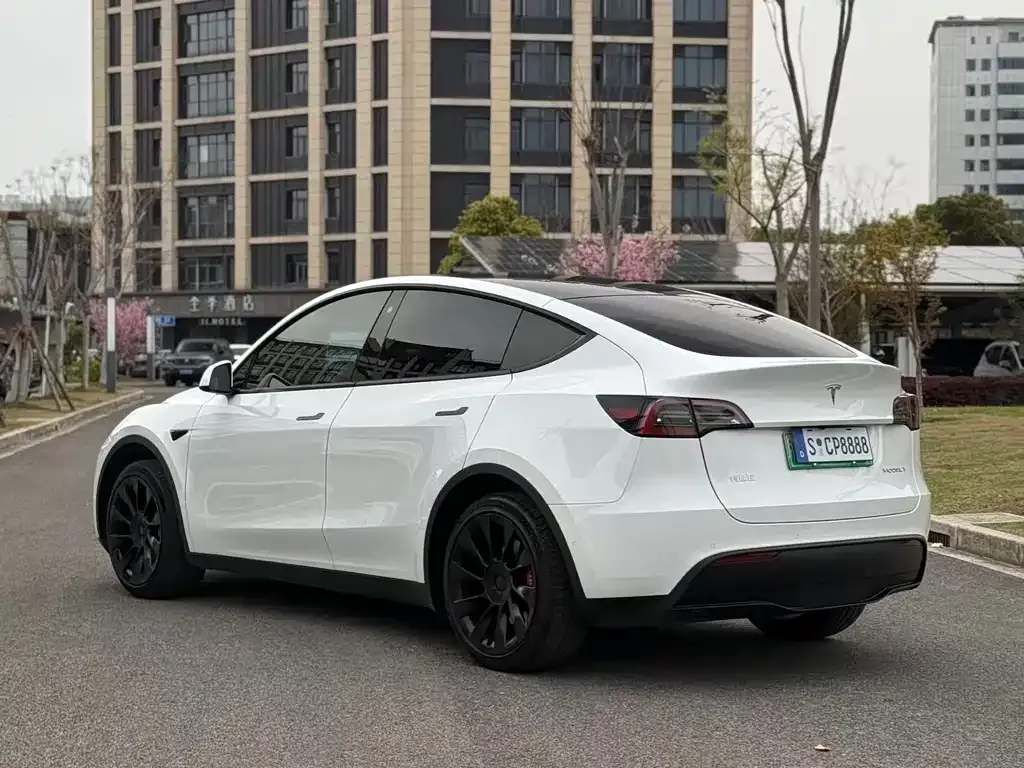 Tesla Model Y — фото 9