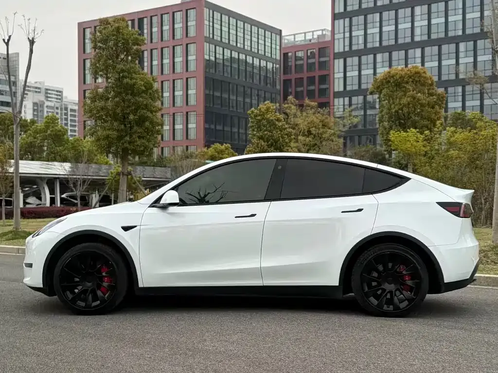 Tesla Model Y — фото 6
