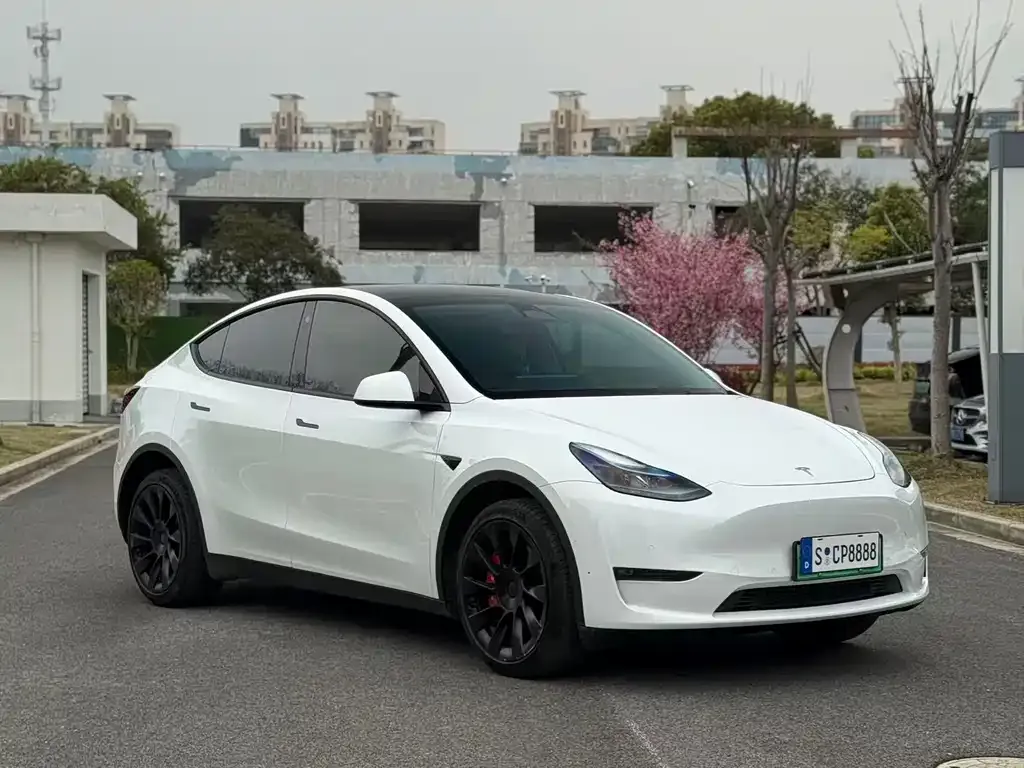 Tesla Model Y — фото 5