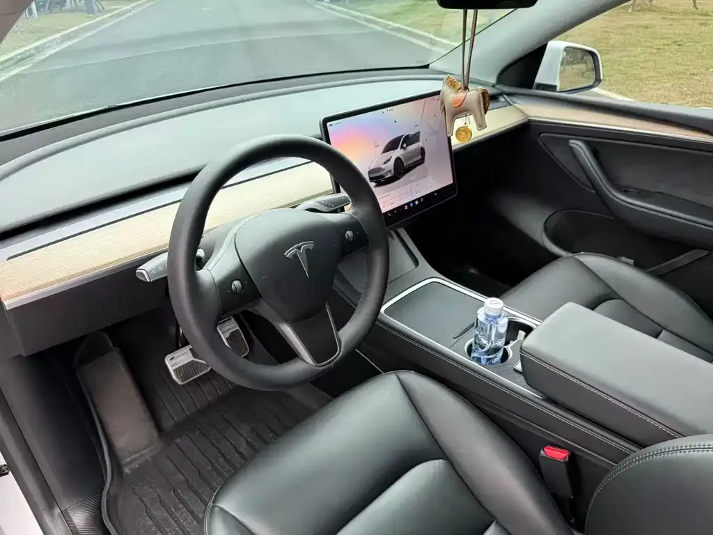 Tesla Model Y — фото 2