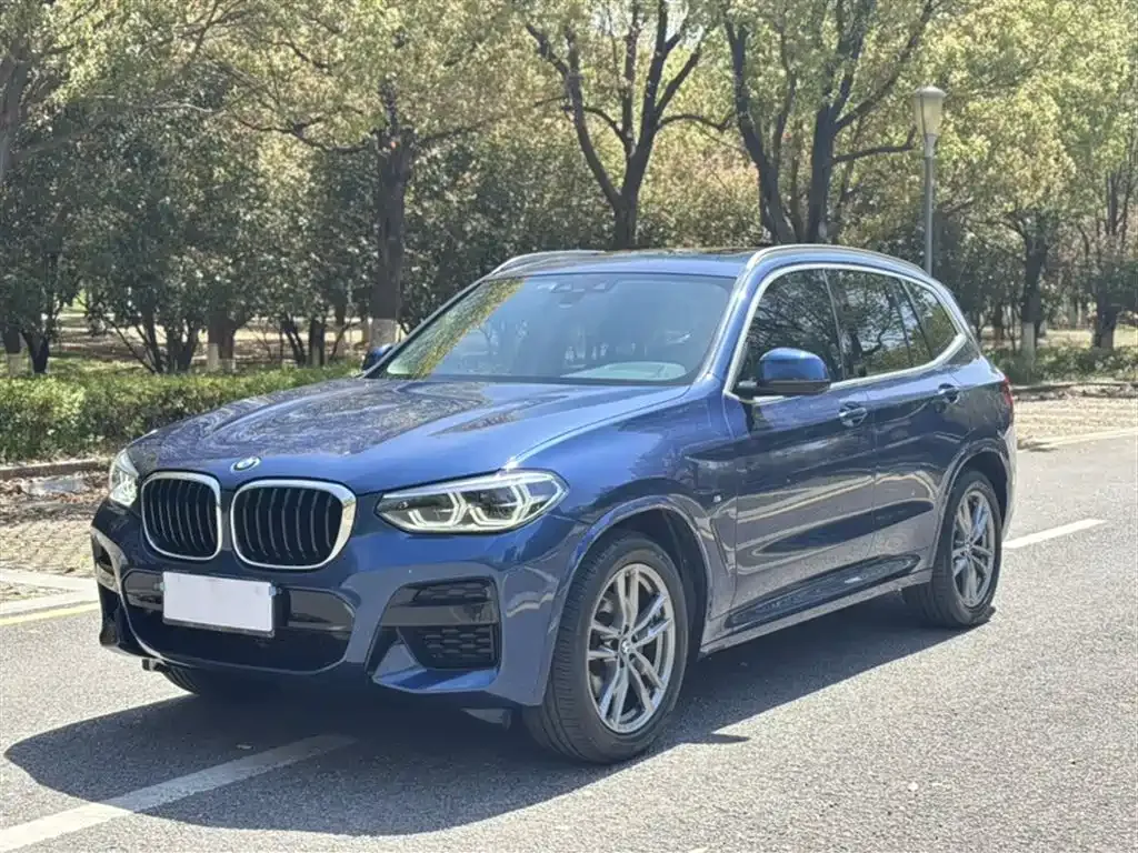 BMW X3 — фото 1