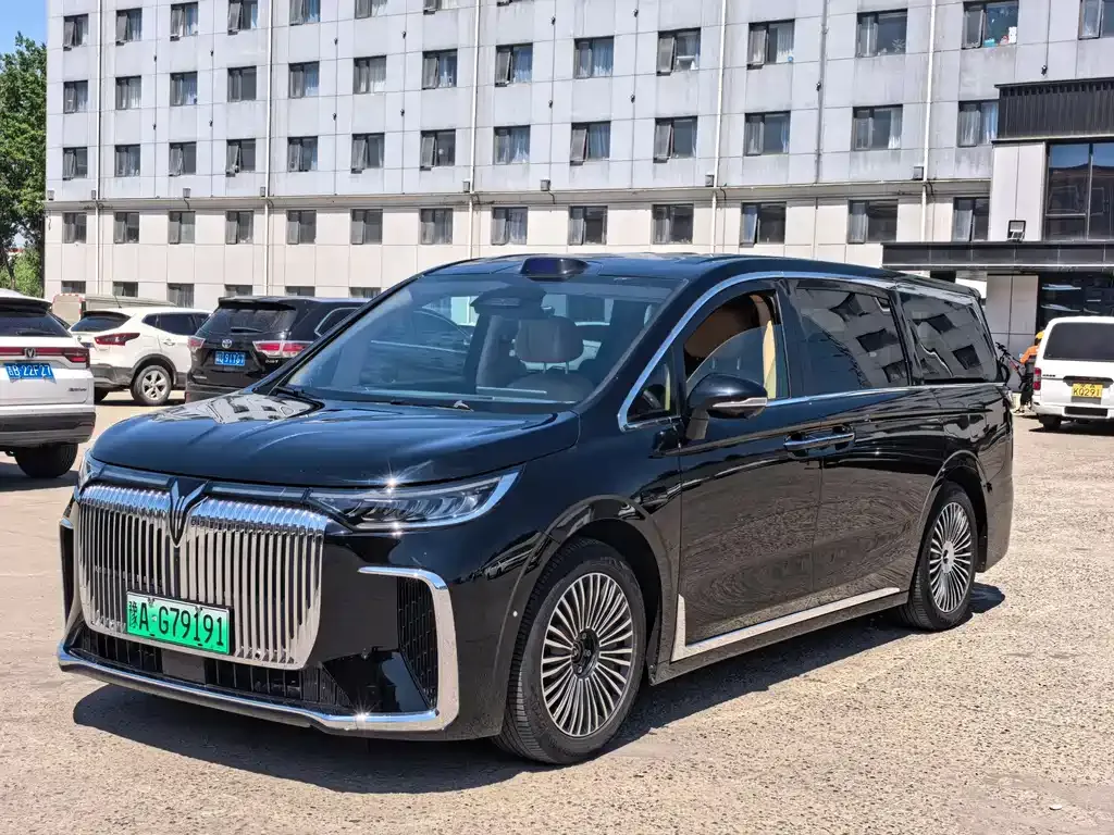 VOYAH Dreamer — фото 1