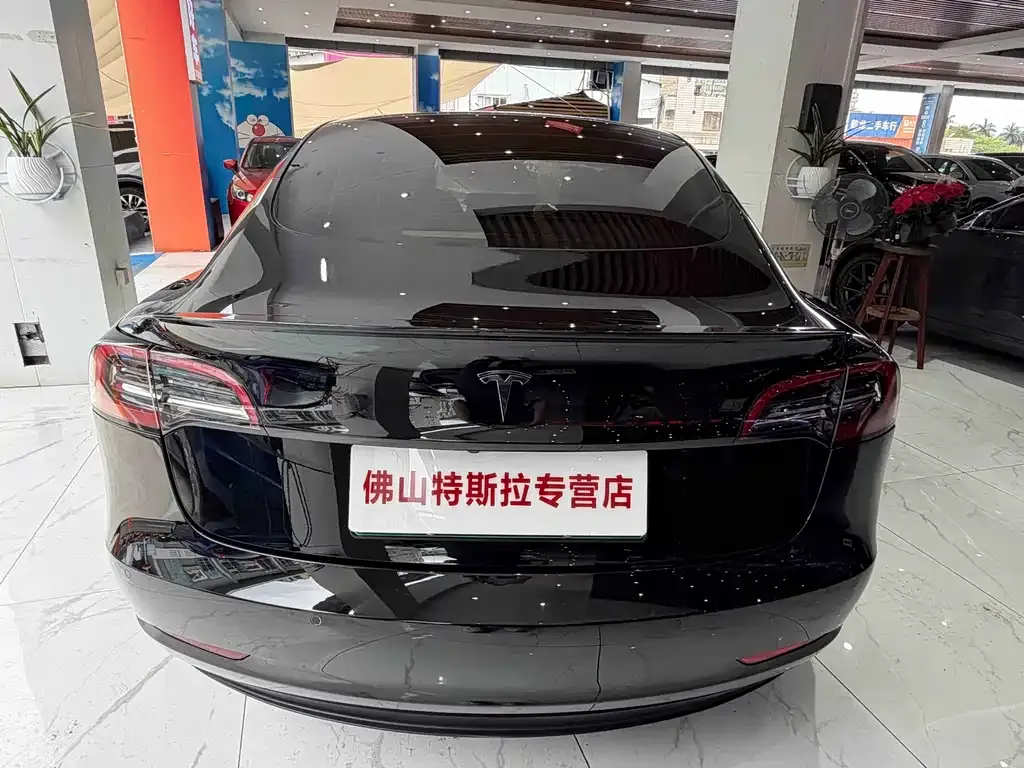 Tesla Model 3 2023 из CN, фото 2