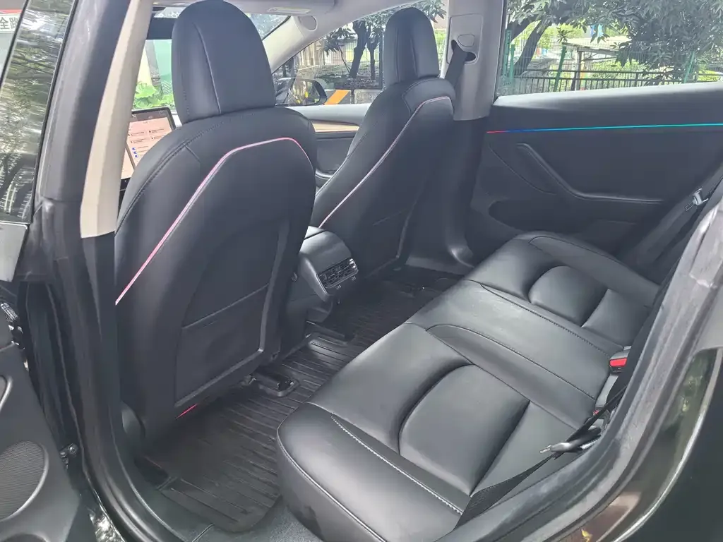 Tesla Model 3 2023 из CN, фото 6