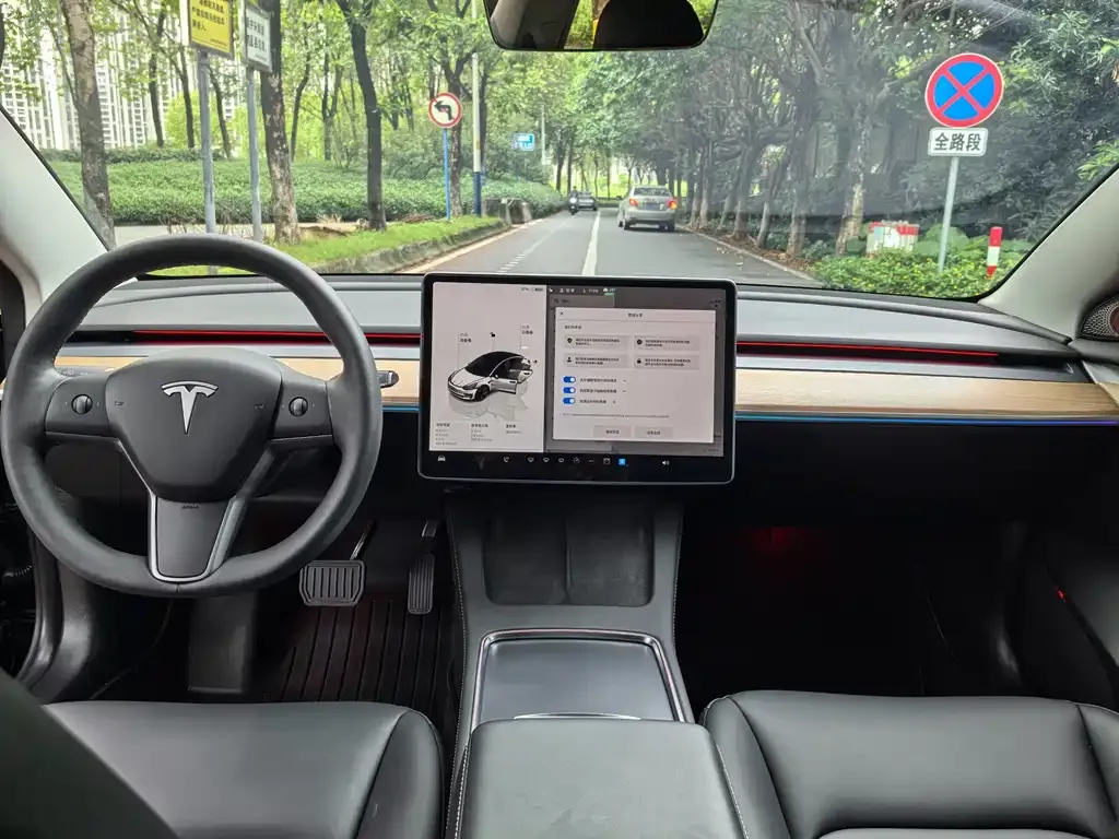 Tesla Model 3 2023 из CN, фото 3