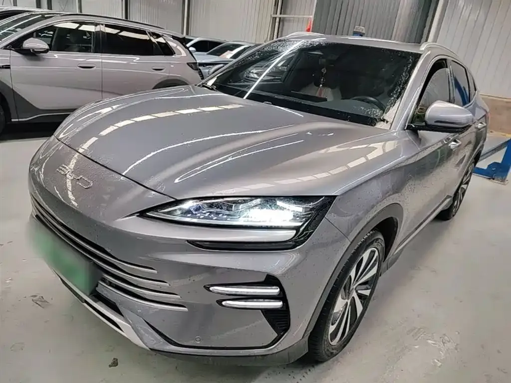 BYD PLUS New Energy — фото 3