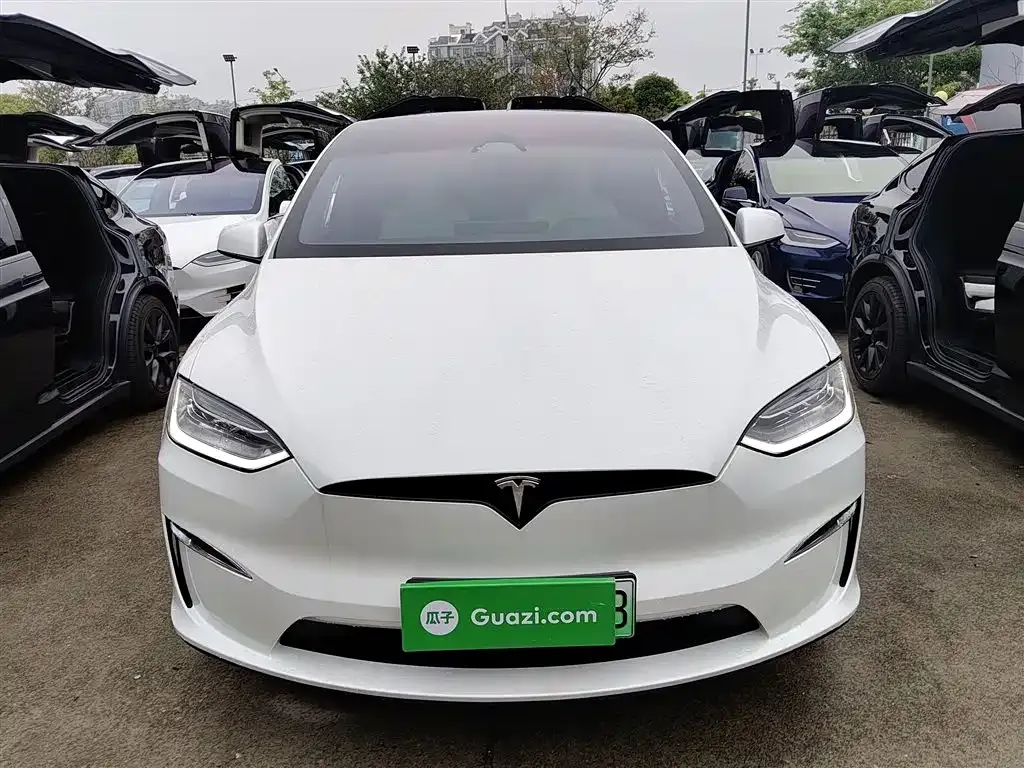 Tesla Model X 2023 из CN, фото 9