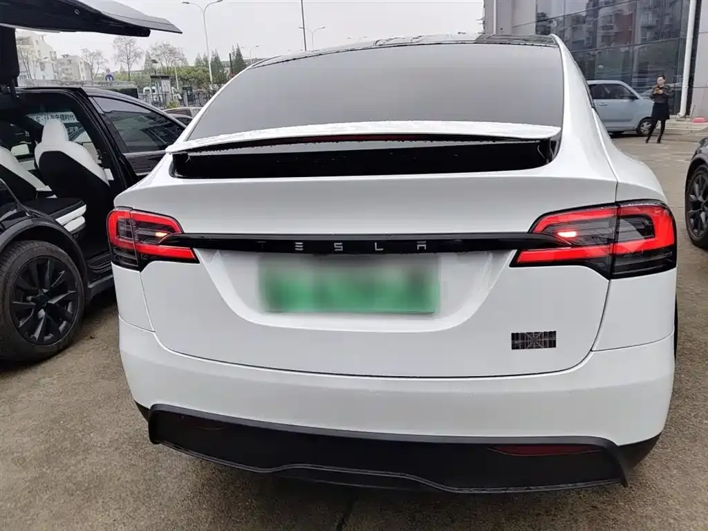 Tesla Model X 2023 из CN, фото 6
