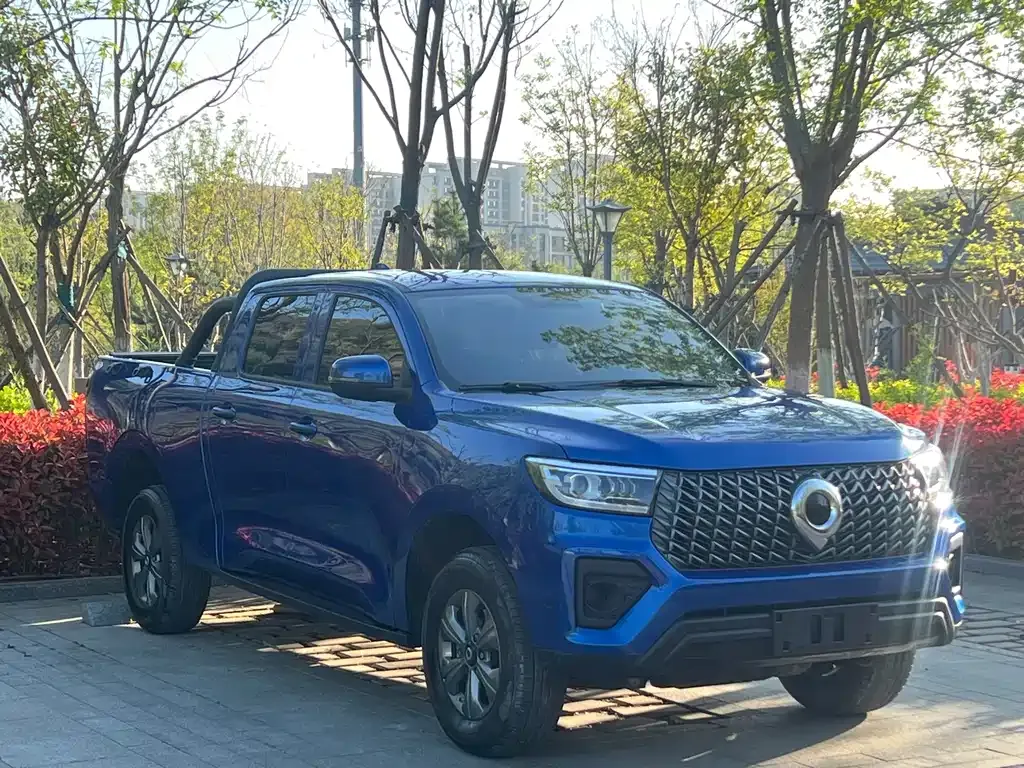 Great Wall Pao 2023 из CN, фото 10