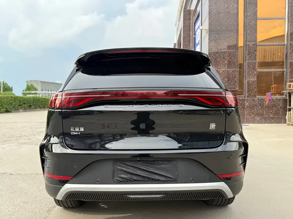 BYD Tang New Energy 2024 из CN, фото 2