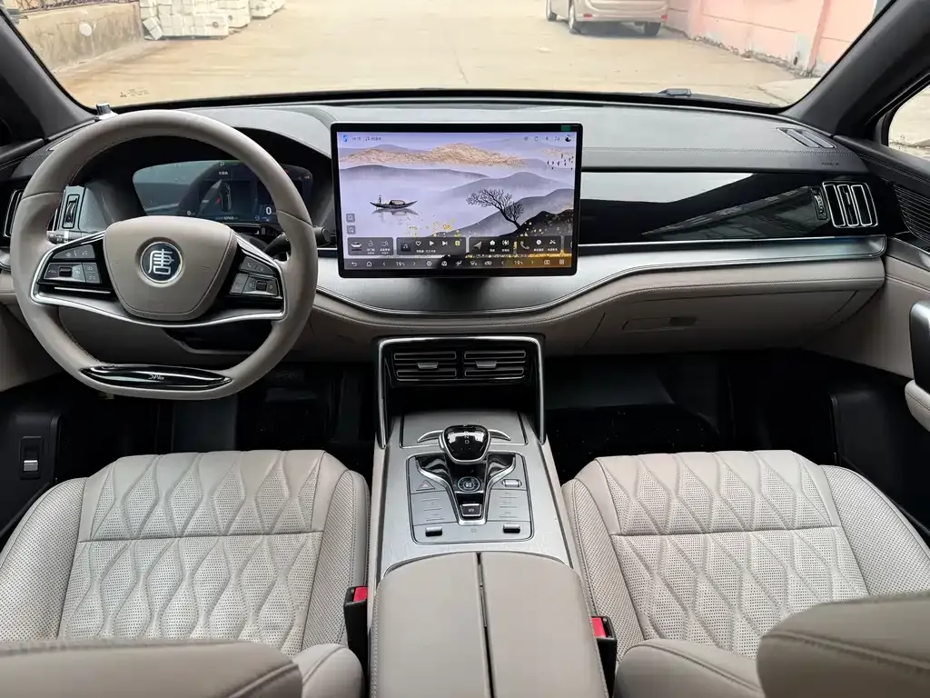 BYD Tang New Energy 2024 из CN, фото 7