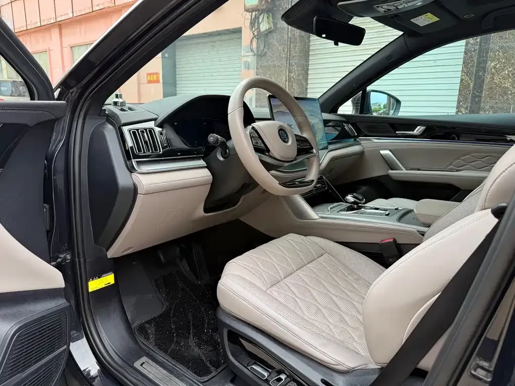 BYD Tang New Energy 2024 из CN, фото 6