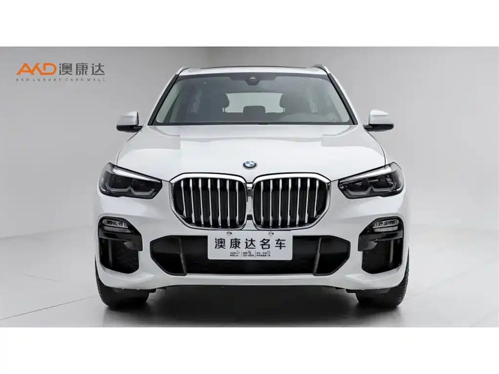 BMW X5 (Import) 2021 из CN, фото 4