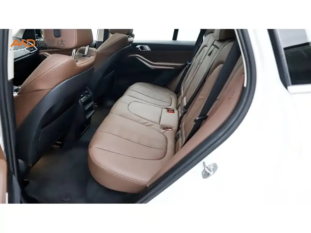 BMW X5 (Import) 2021 из CN, фото 3