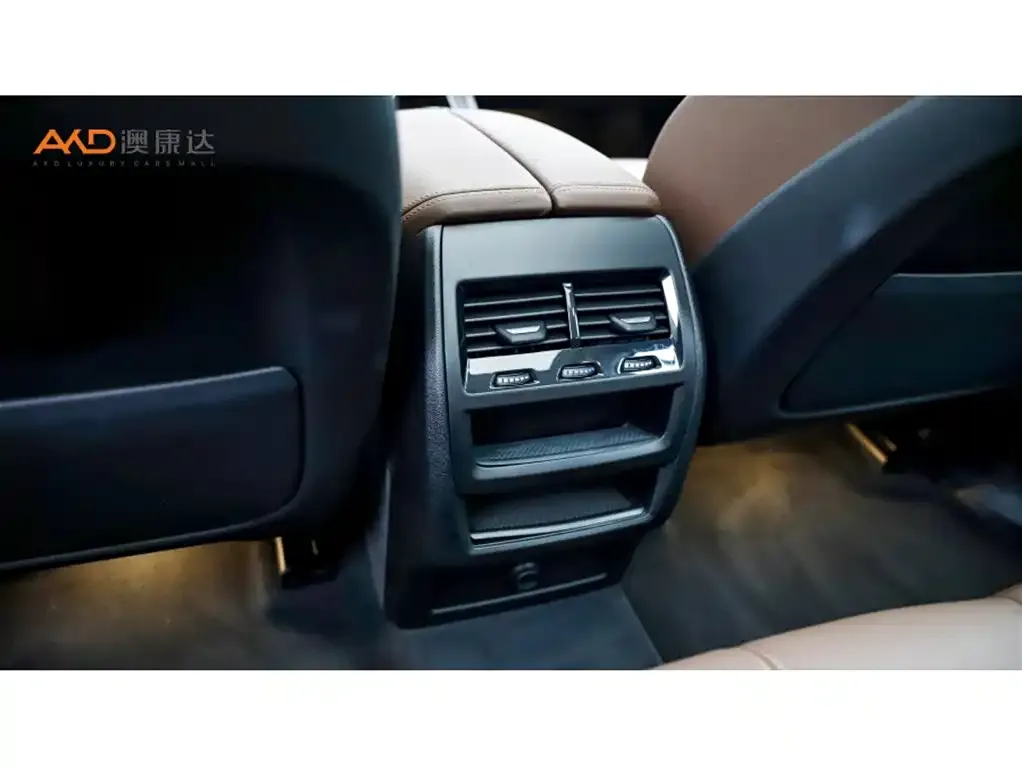BMW X5 (Import) 2021 из CN, фото 9