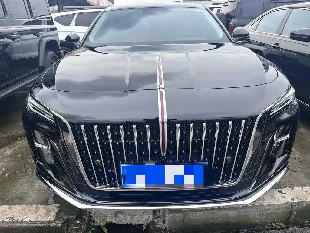 Hongqi H5 2024 из CN, фото 2