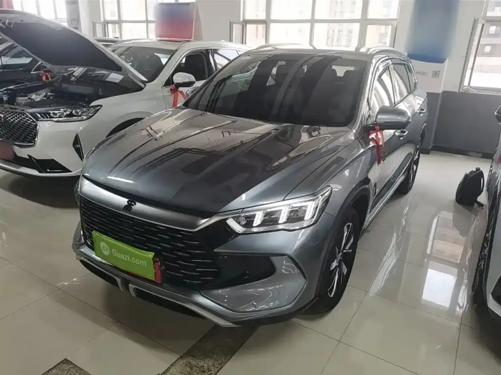 BYD Pro New Energy — фото 9