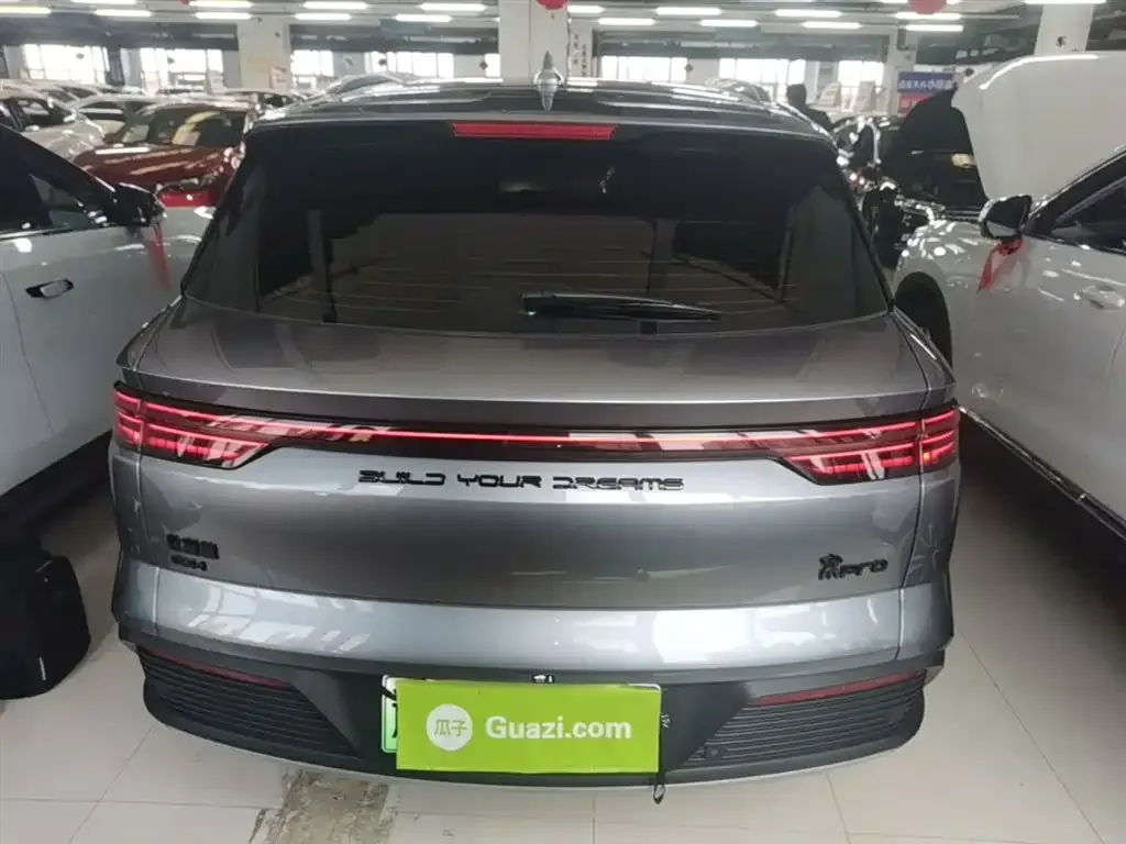 BYD Pro New Energy — фото 6