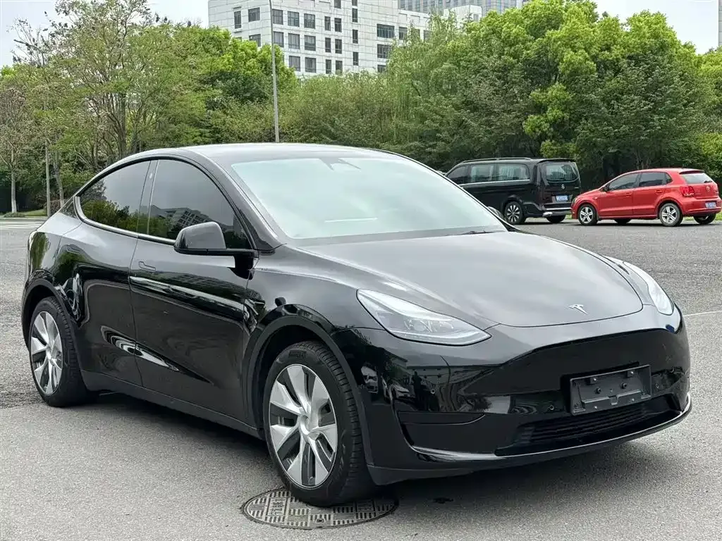Tesla Model Y — фото 8