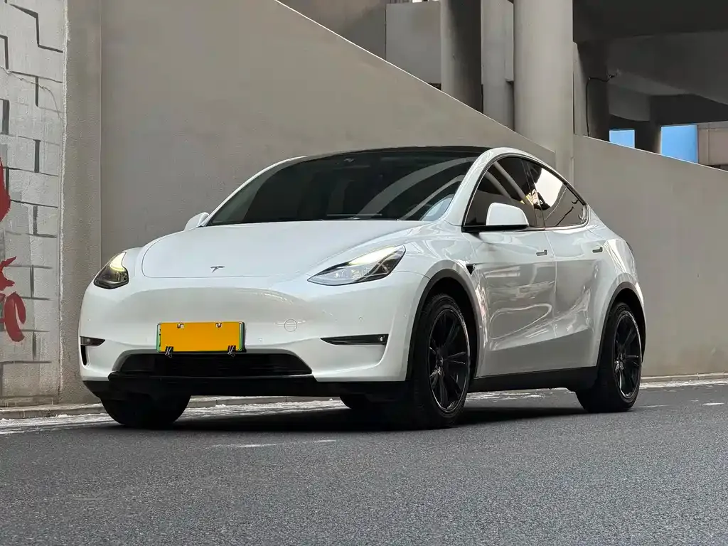 Tesla Model Y — фото 1