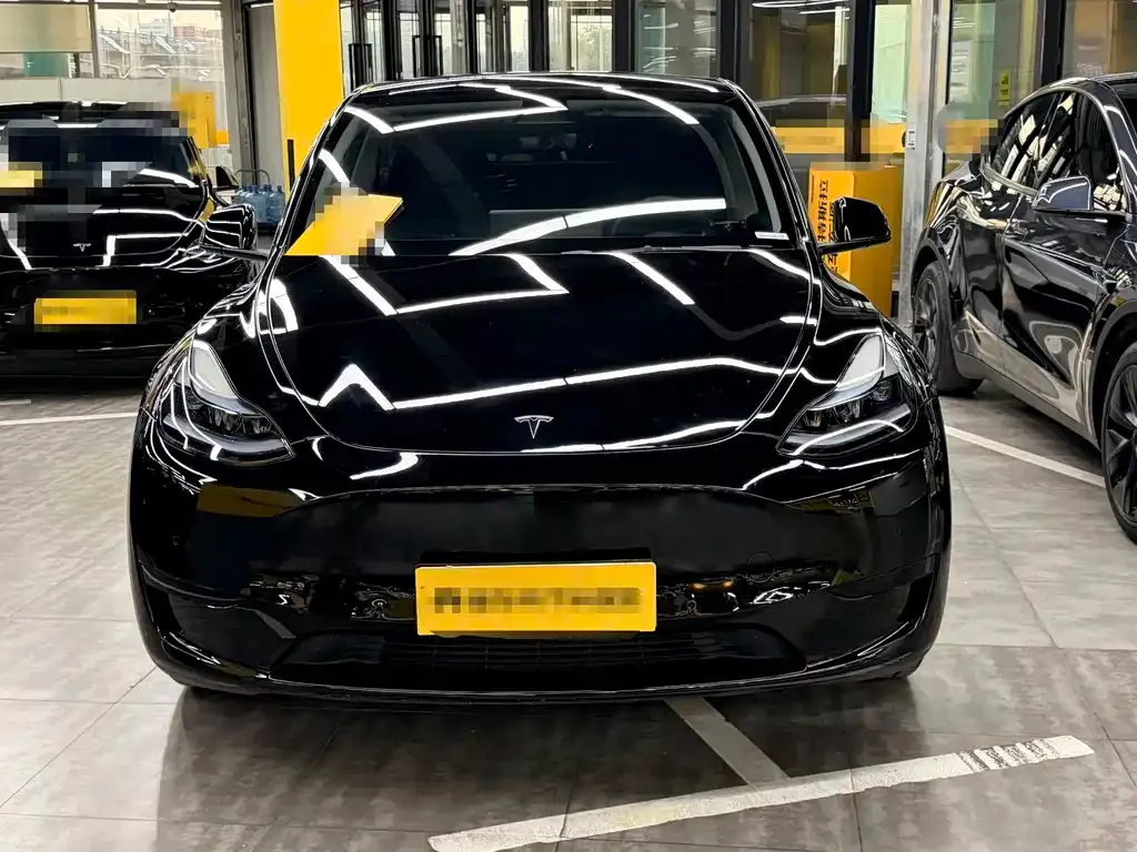 Tesla Model Y — фото 5