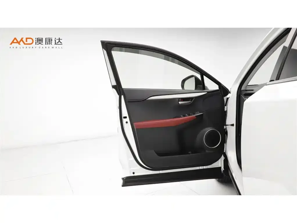 Lexus NX 2021 из CN, фото 5