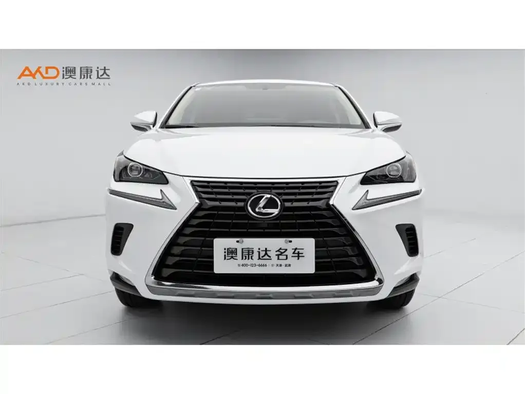 Lexus NX 2021 из CN, фото 7