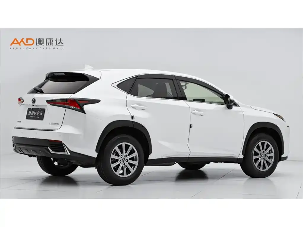 Lexus NX 2021 из CN, фото 8