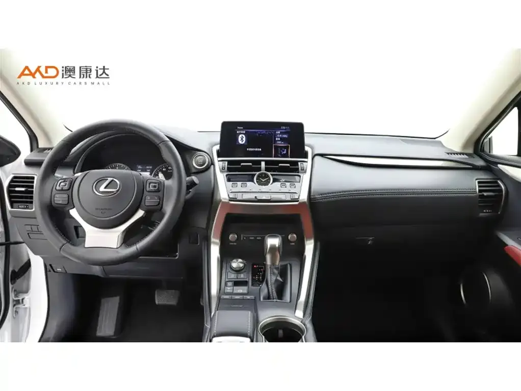 Lexus NX 2021 из CN, фото 4