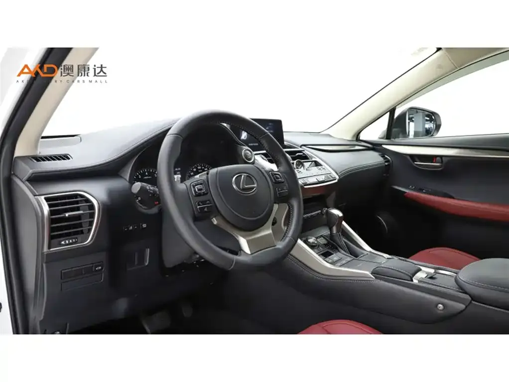 Lexus NX 2021 из CN, фото 9