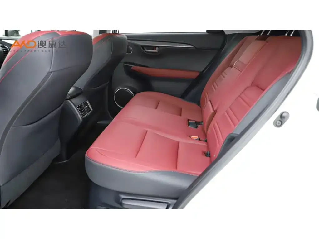 Lexus NX 2021 из CN, фото 6